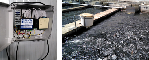 Sistema de telecontrol de parámetros del agua instalado en una planta de tratamiento, con una vista de las piscinas de tratamiento de agua en funcionamiento