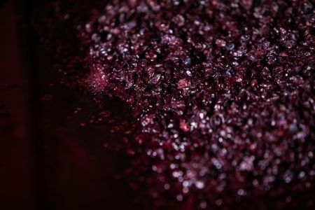 Primer plano de granos de uva aplastados, con tonalidades rojas y moradas, en el proceso de fermentación del vino.